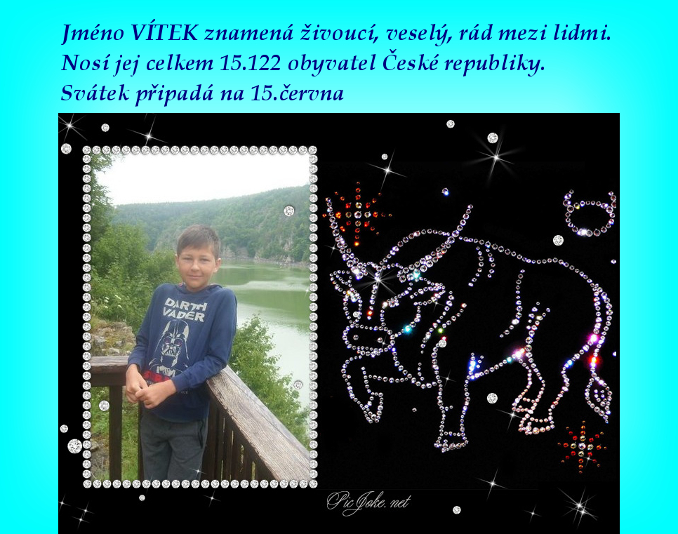 býk = TAURUS