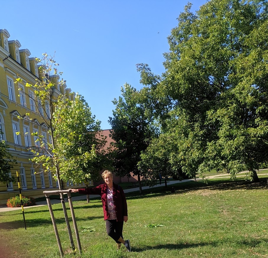 IMG_20190922_122256_1