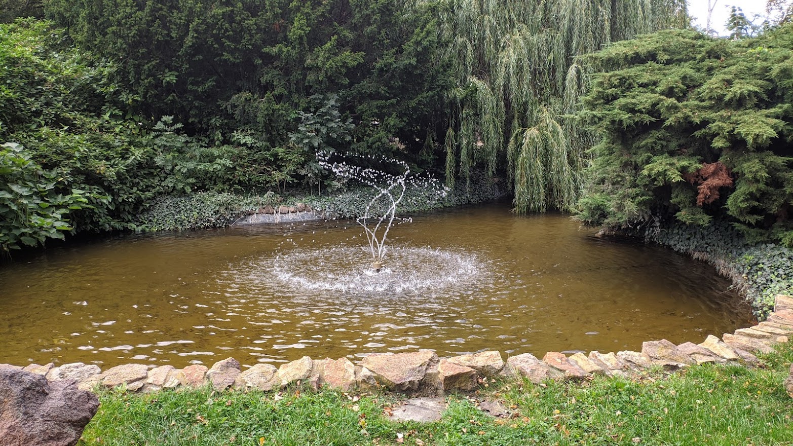 MVIMG_20210924_105636